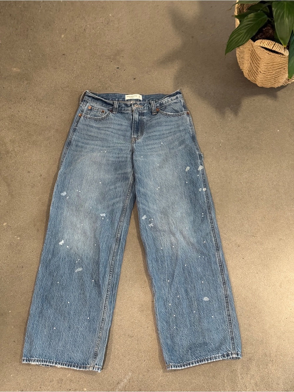 Abercrombie & Fitch Ultra Loose Low Rise Jeans